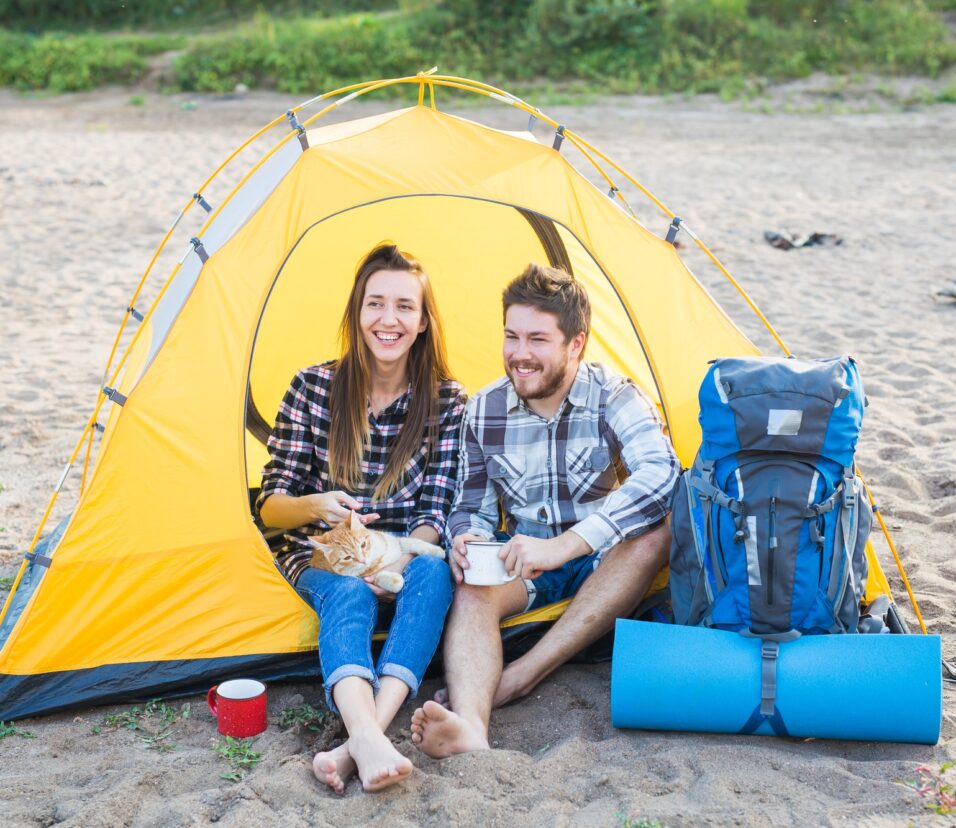People, tourism and nature concept - Cute couple sitting with a cat in yellow tent